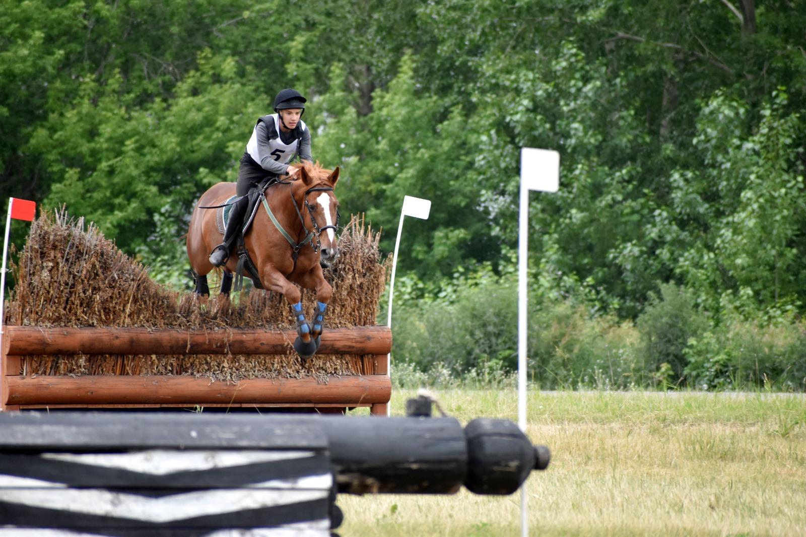 Фото На ипподроме Новосибирска проходит чемпионат СФО по конному спорту 4